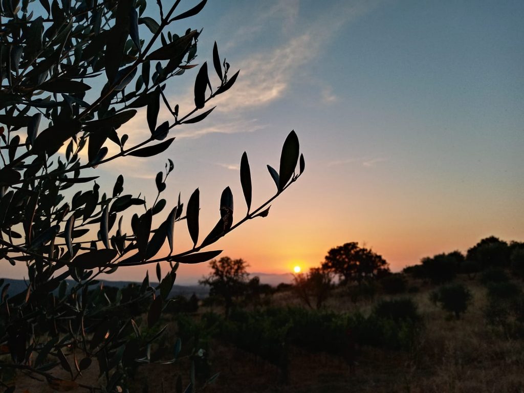 Maremma in January