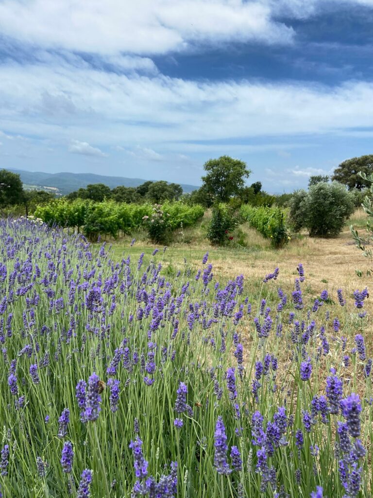 organic farm